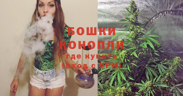 сатива Бородино