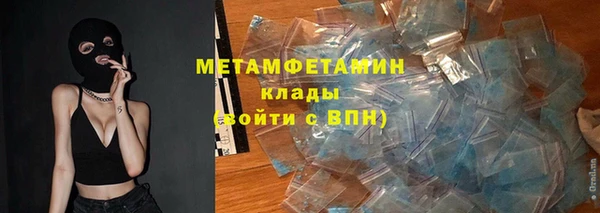 сатива Бородино