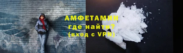 сатива Бородино
