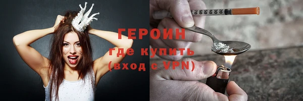 сатива Бородино