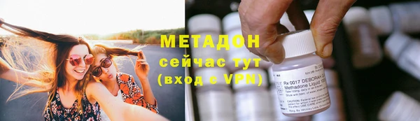 сатива Бородино