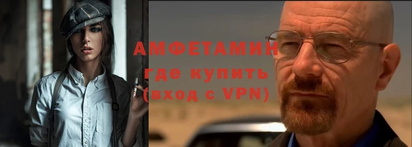 сатива Бородино