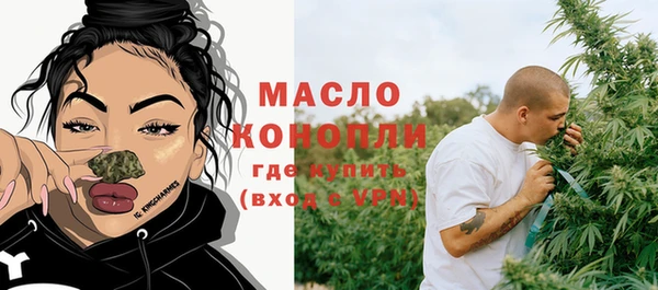 сатива Бородино
