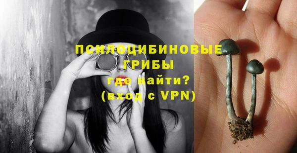 тгк Бронницы