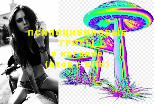 тгк Бронницы